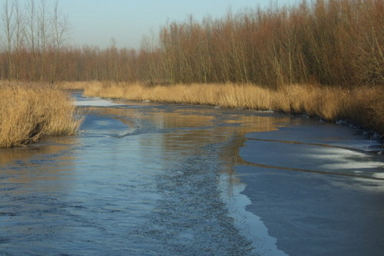 Prachtige najaarstocht door de Biesbosch