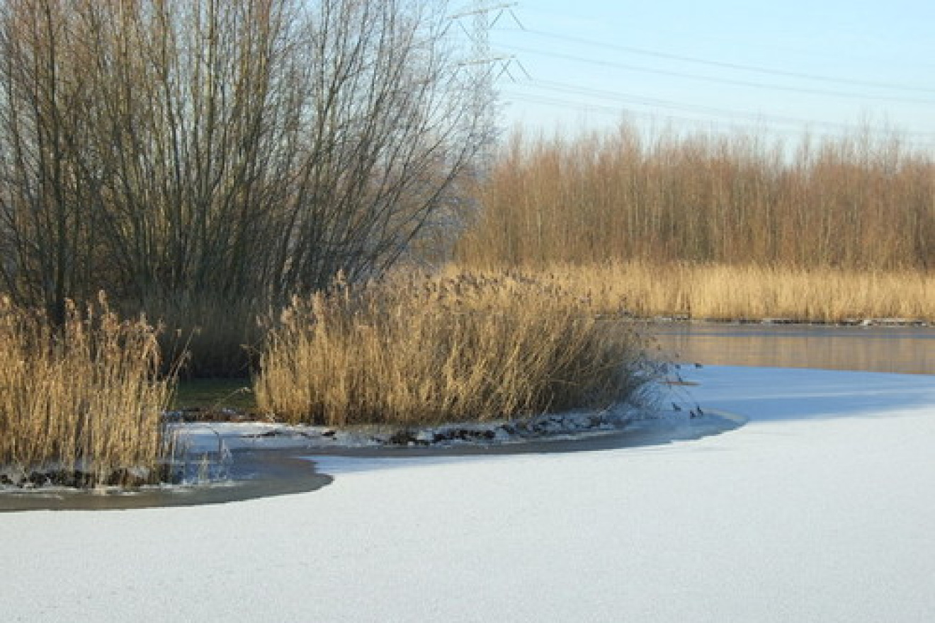 Prachtige najaarstocht door de Biesbosch