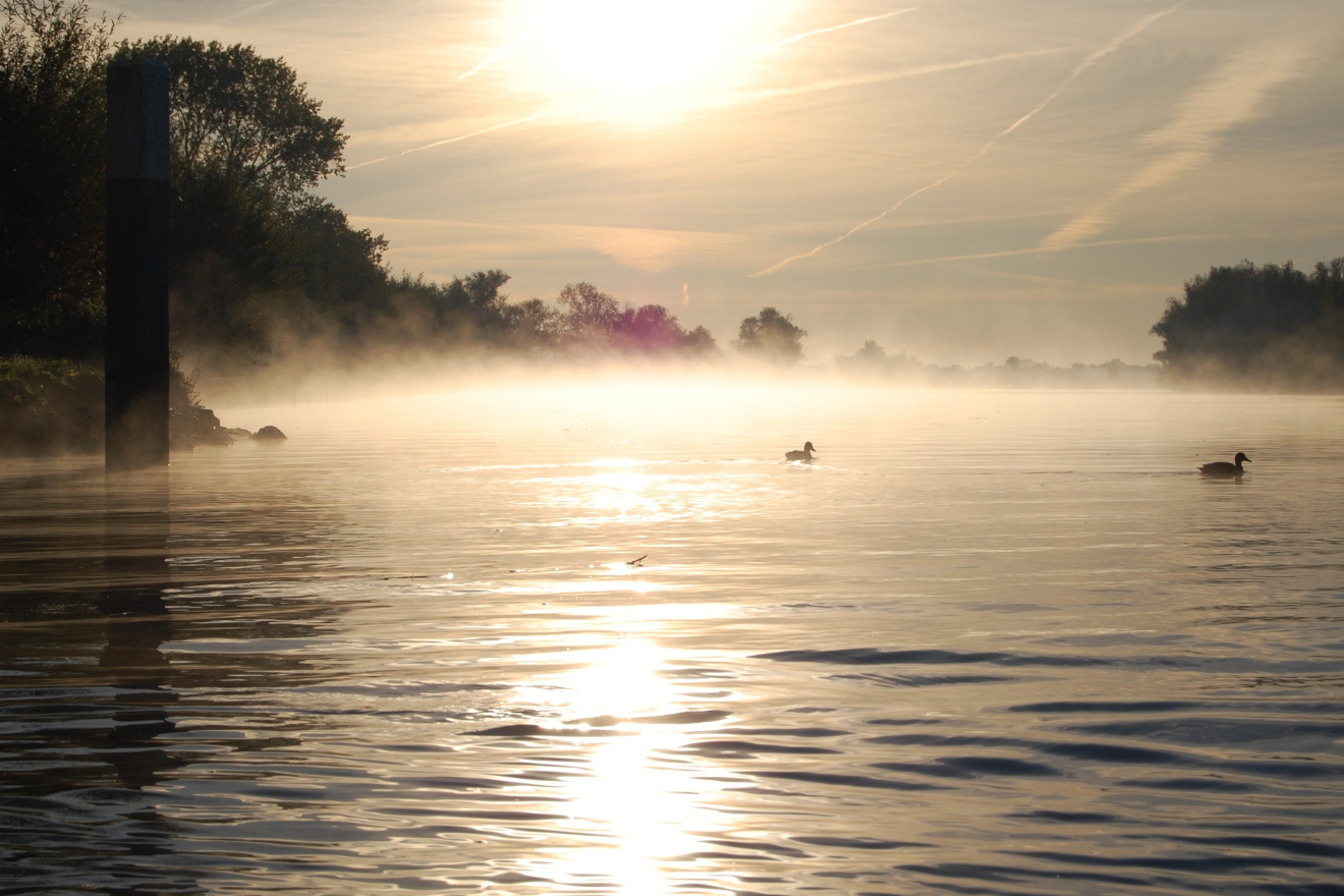 Prachtige najaarstocht door de Biesbosch