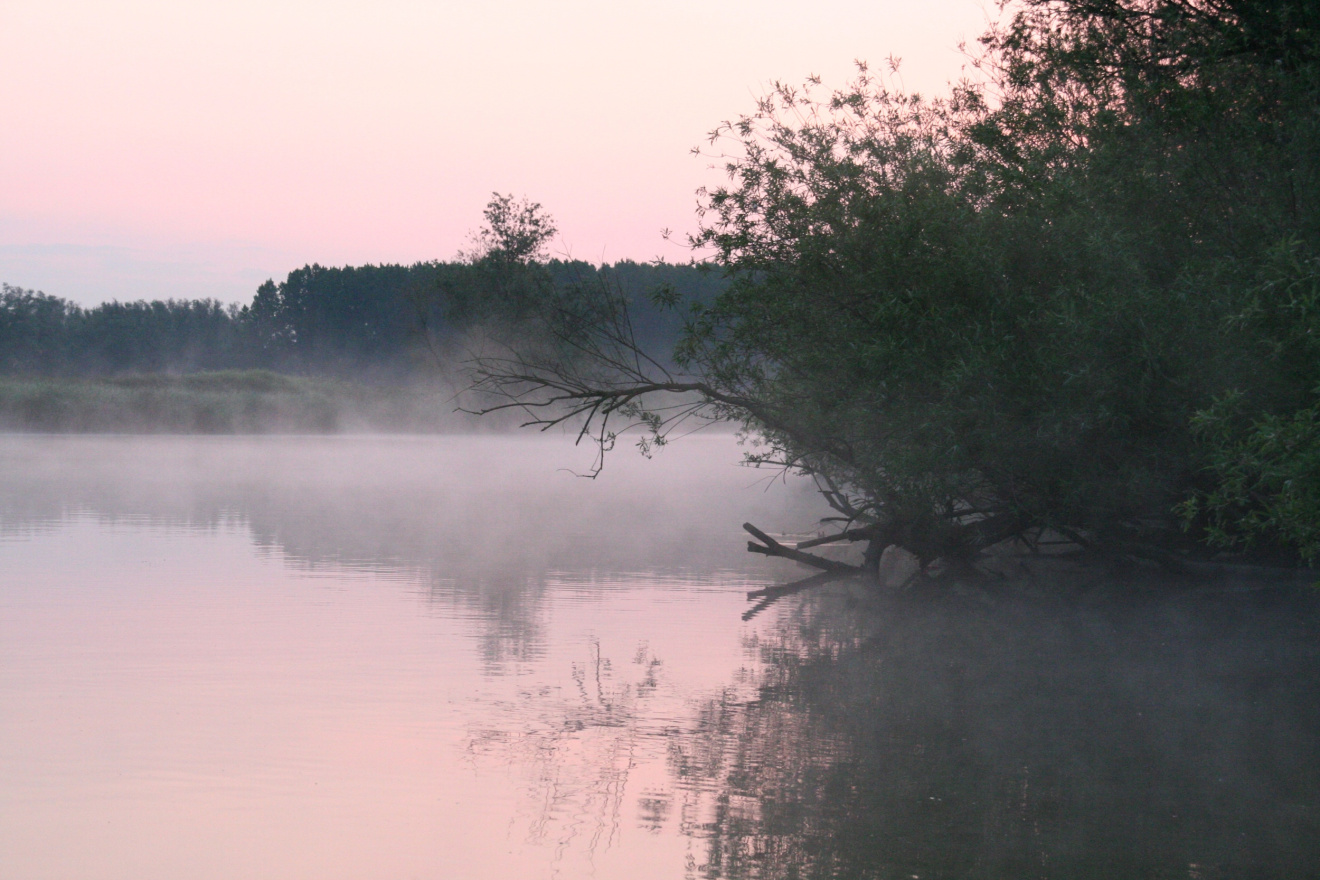 Prachtige najaarstocht door de Biesbosch