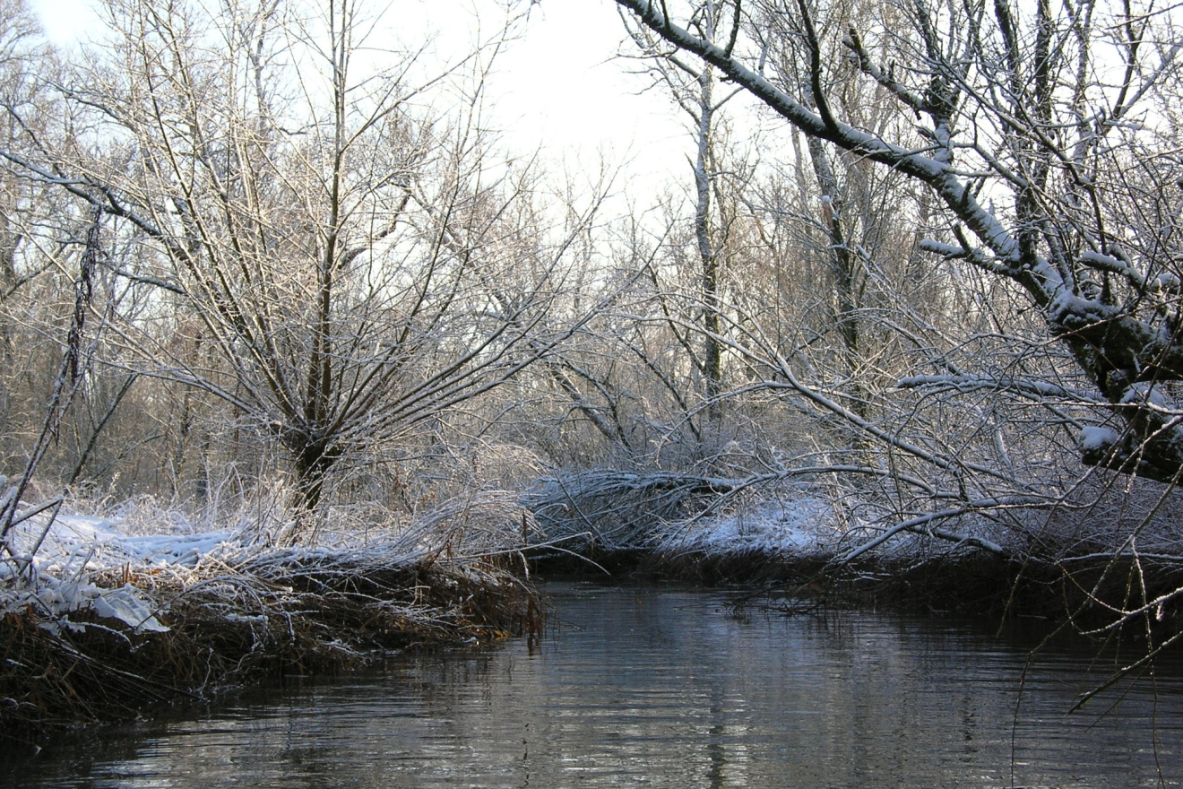 Prachtige najaarstocht door de Biesbosch