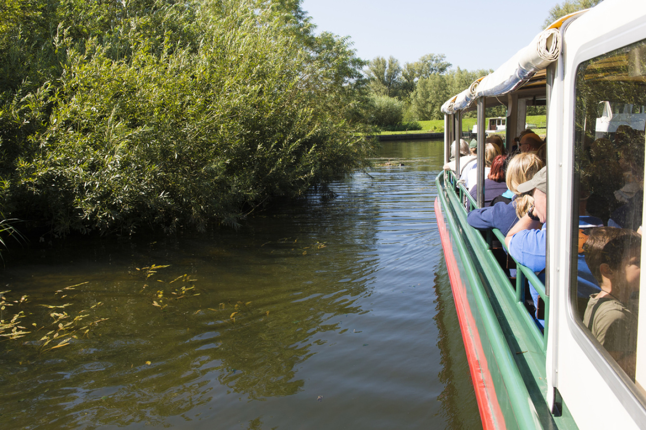 Wandelen en varen door de Biesbosch