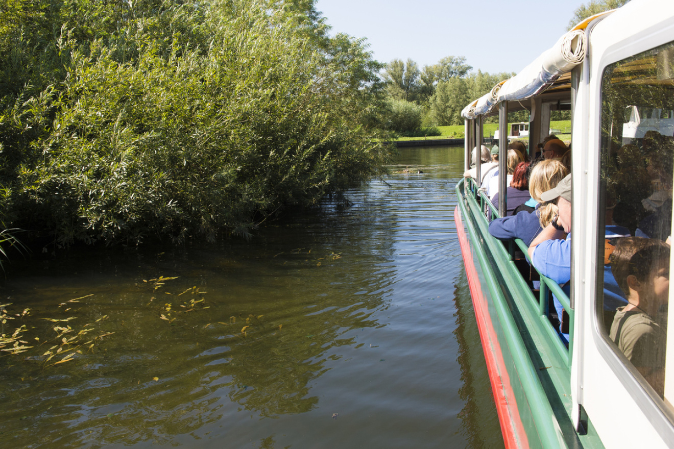 Met de fluisterboot varen door de Biesbosch