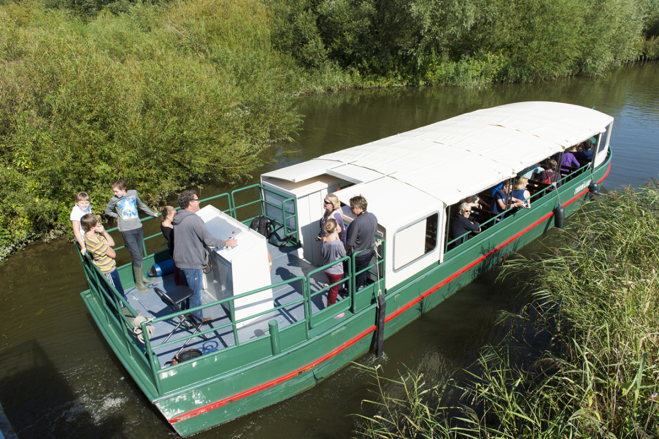 Wandelen en varen door de Biesbosch