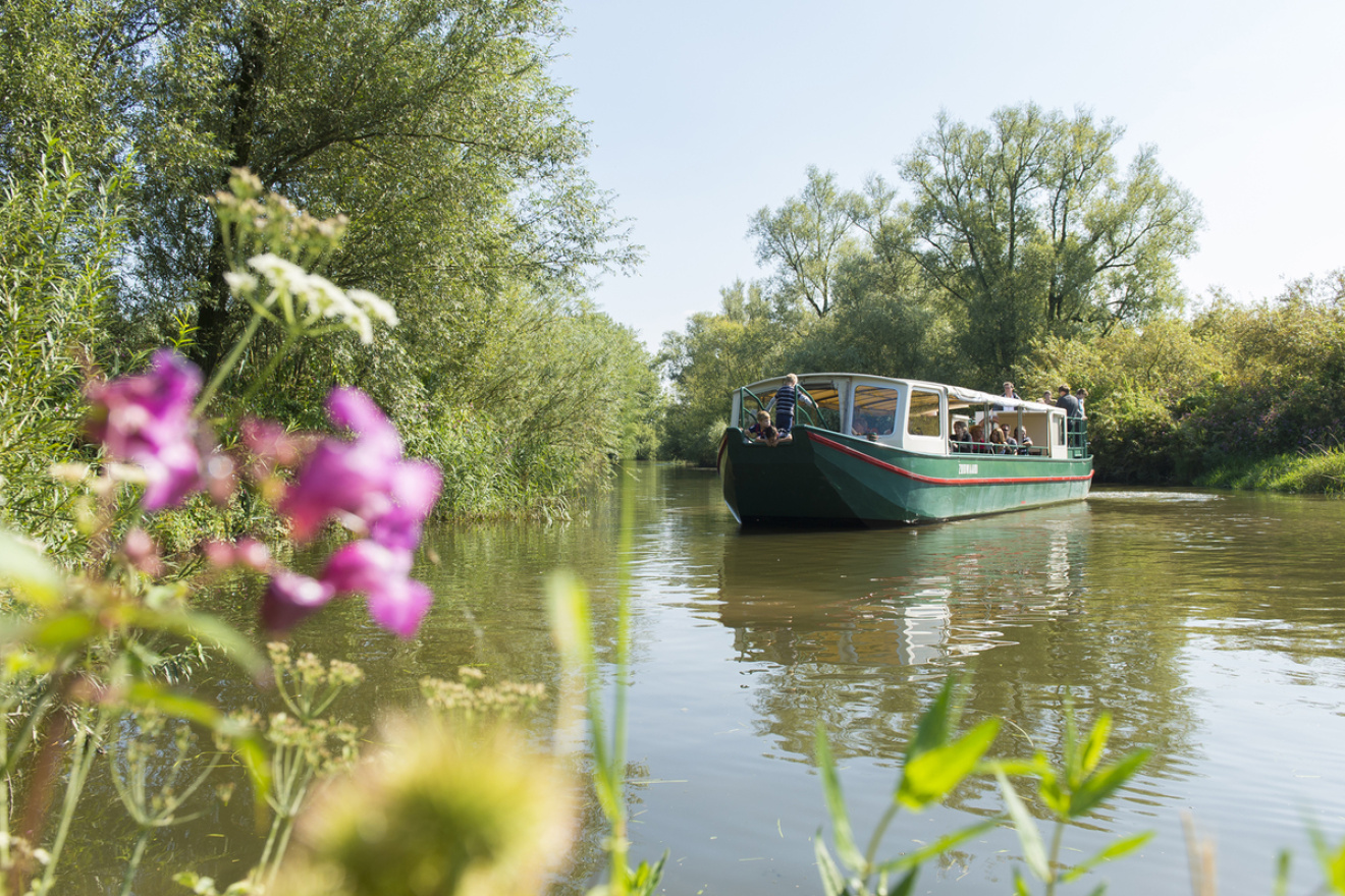 Wandelen en varen door de Biesbosch