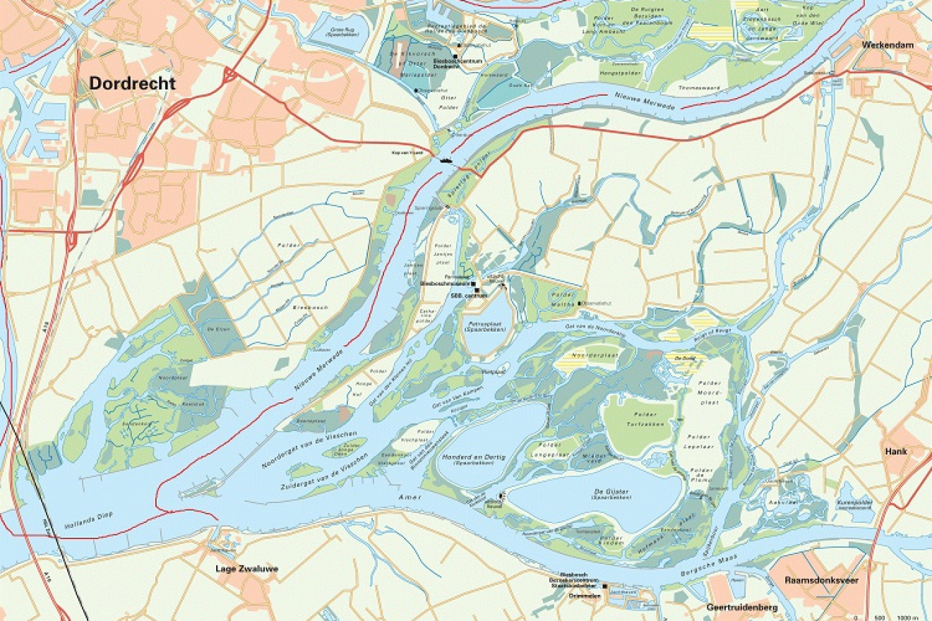 Rondvaart door de Biesbosch