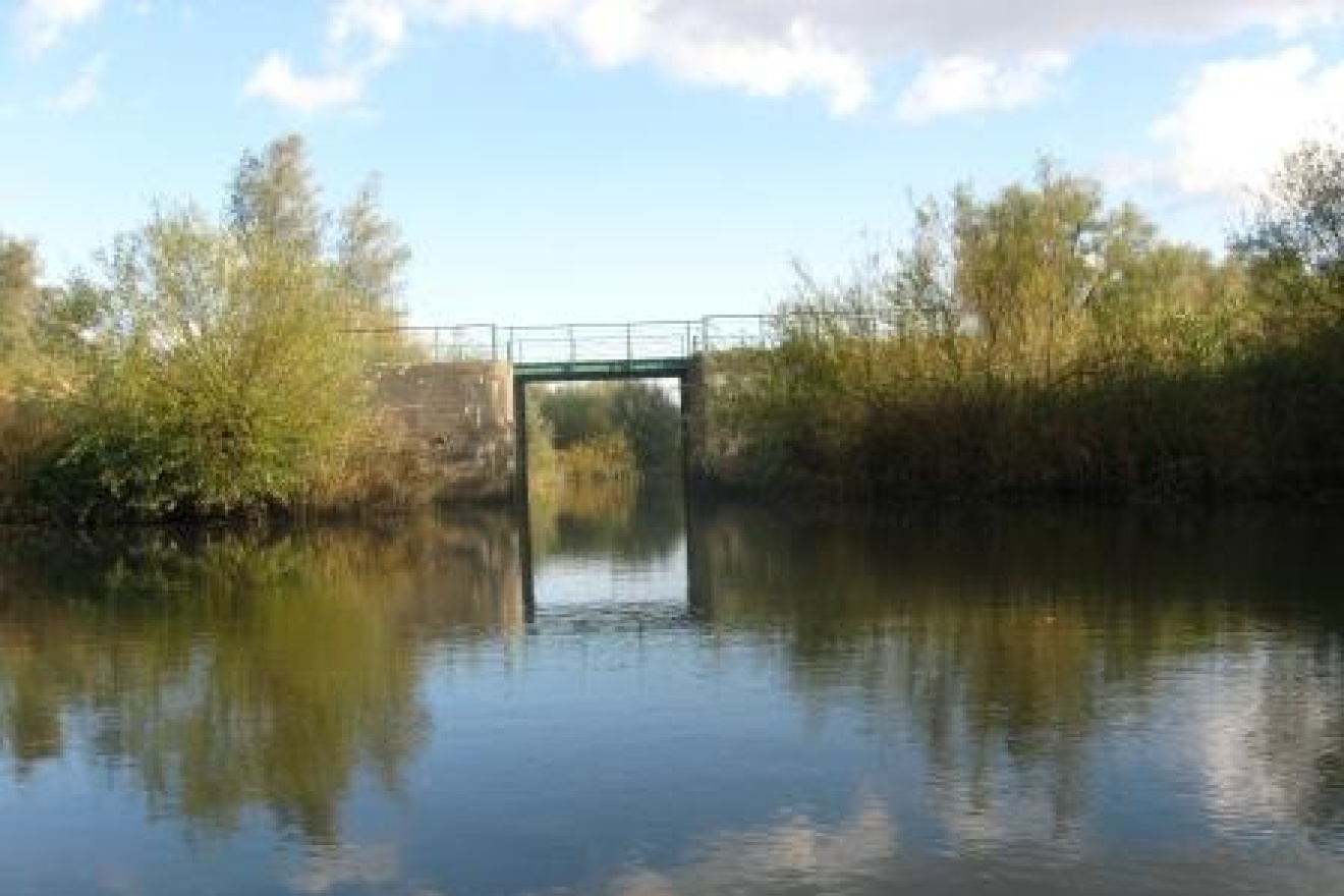 Met de fluisterboot varen door de Biesbosch