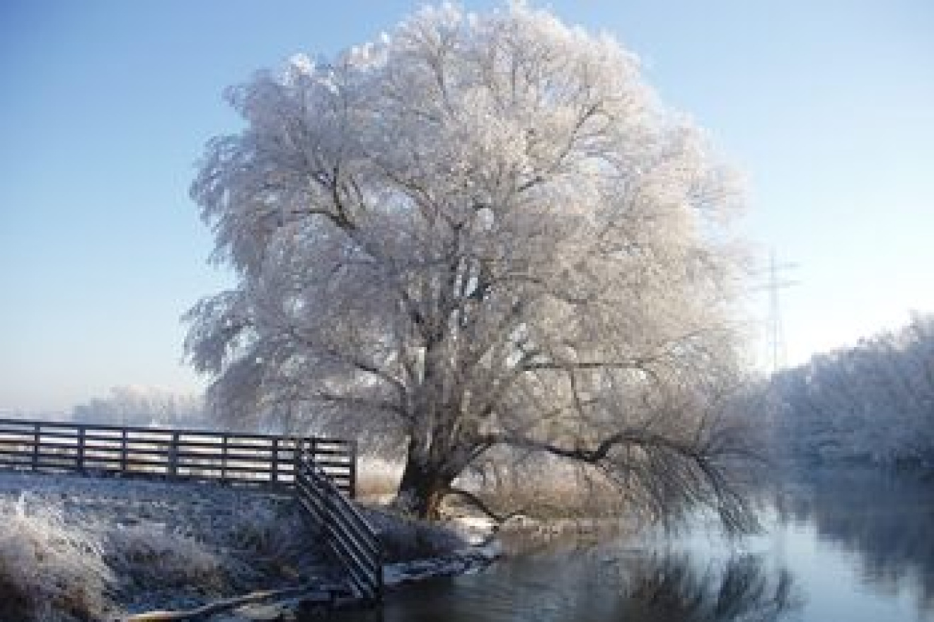 Prachtige najaarstocht door de Biesbosch