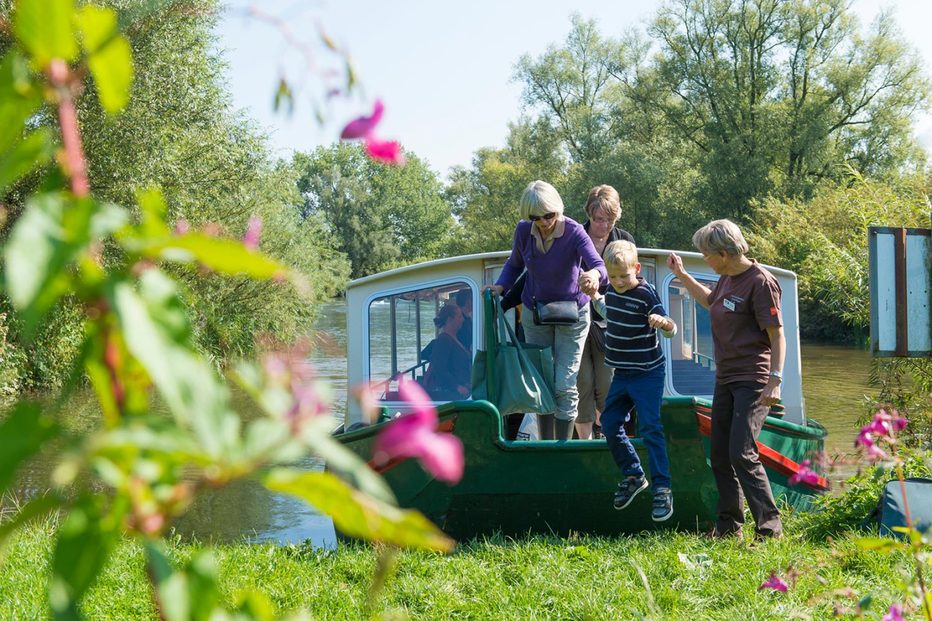 Wandelen en varen door de Biesbosch