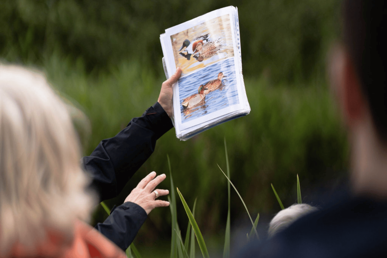 Wandelen en varen door de Biesbosch