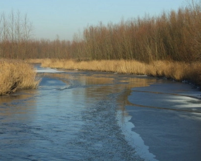 Prachtige najaarstocht door de Biesbosch