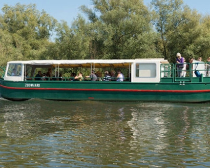 Met de fluisterboot varen door de Biesbosch