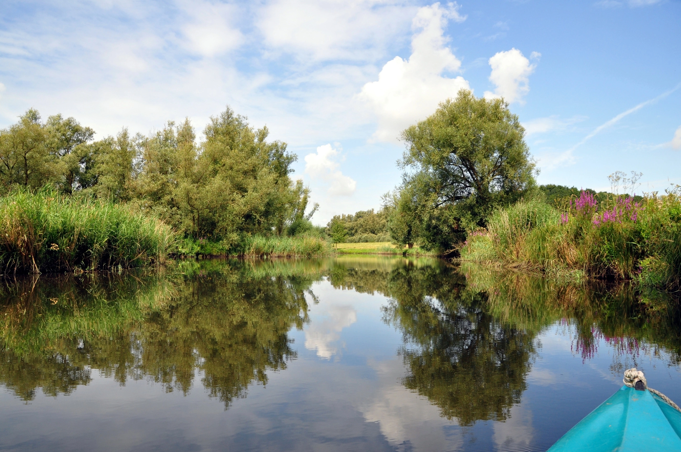 3 uur durende Biesbosch Rondvaart