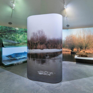 Boottocht met bezoek aan het Biesbosch museum