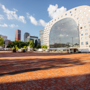 Dagtocht Rotterdam met bezoek aan de Markthal